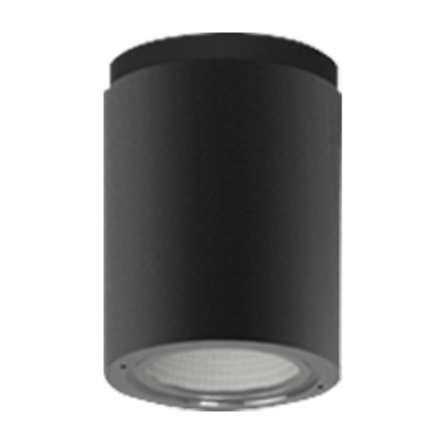 Lup downlight 110