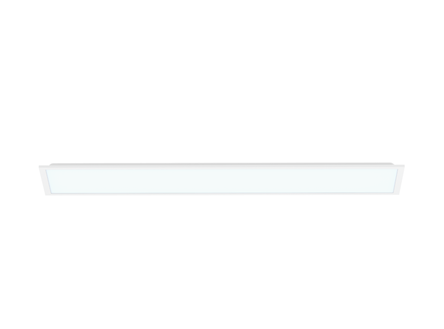 REXBLP123 2